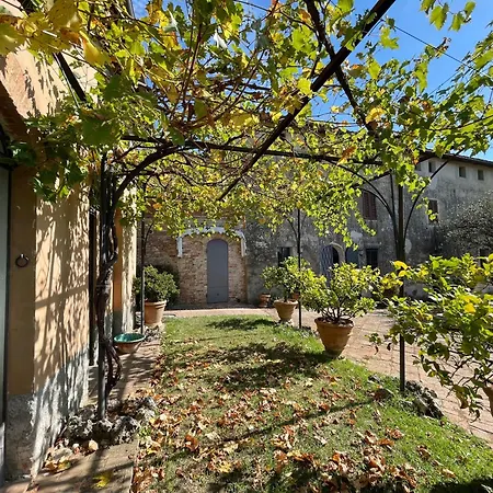 Vignano: Tinaia *