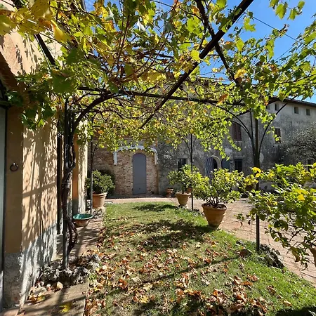 Vignano: Tinaia *