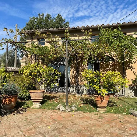 Villa Vignano: Tinaia Siena