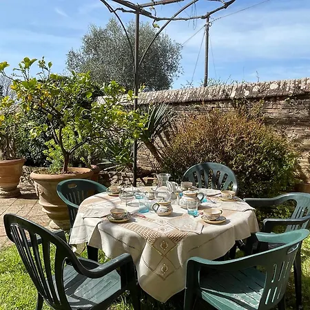 Vignano: Tinaia Siena